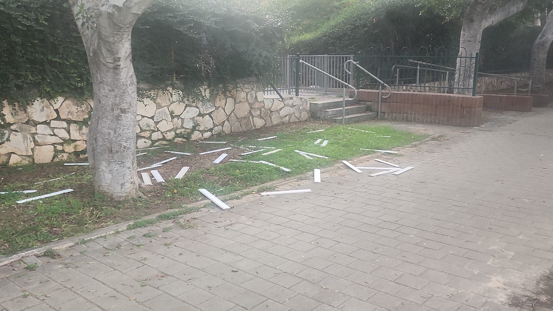 WhatsApp Image 2023-10-27 at 17.16.17.jpeg